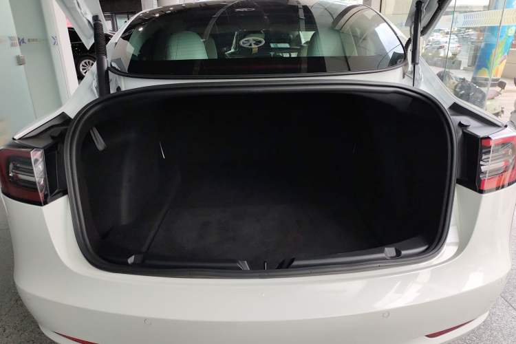 Used Tesla Model 3 2021 Performance High-Performance All-Wheel-Drive Version
