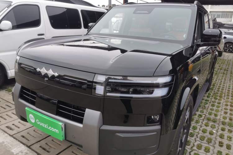 Used Formula Leopard Tai 7 2025 Model 200 km Two-Wheel Drive Max Edition