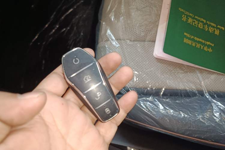 Used BYD Dolphin 2025 420km Free Edition
