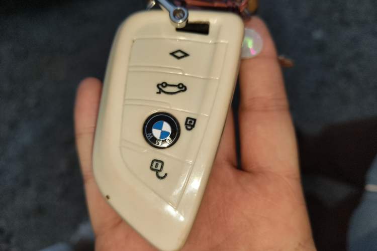 Used BMW X1 2018 sDrive20Li Leading Model Vehicle Key