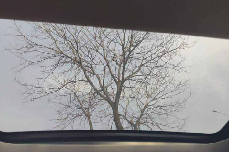 Used Kia K5 2014 2.0L Automatic LUXURY Headliner