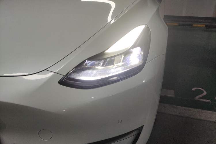 Used Tesla Model Y 2022 Revised Version Long-Range All-Wheel Drive
