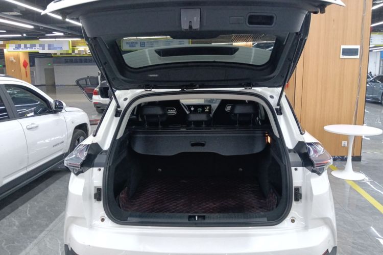 Used NETA U 2021 Pro 400 Cruiser Edition Trunk