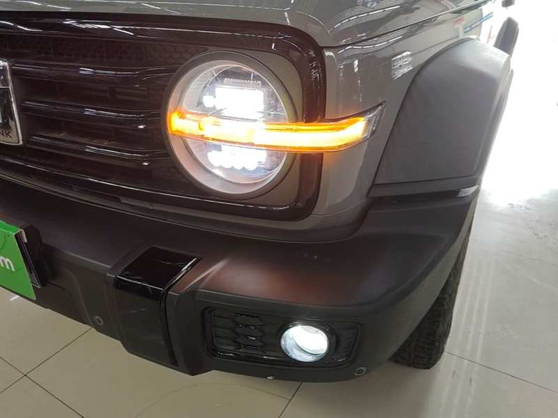 Used Tank 300 2021 Off-Road Edition 2.0T Conqueror — 23