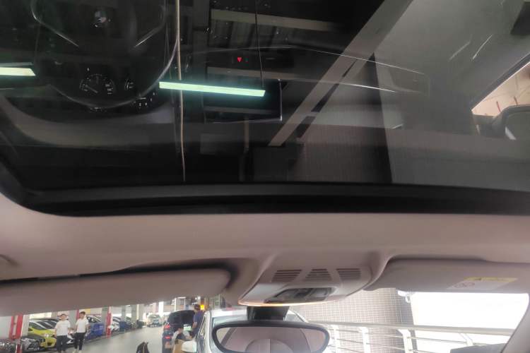 Used BMW X1 2019 xDrive20Li Luxury Model Headliner