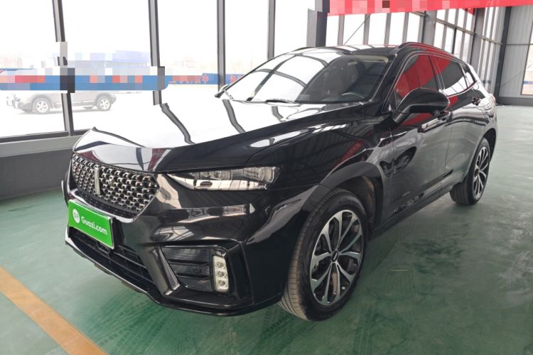 Used Wey VV7 2020 2.0T Ultra-Luxury Version
