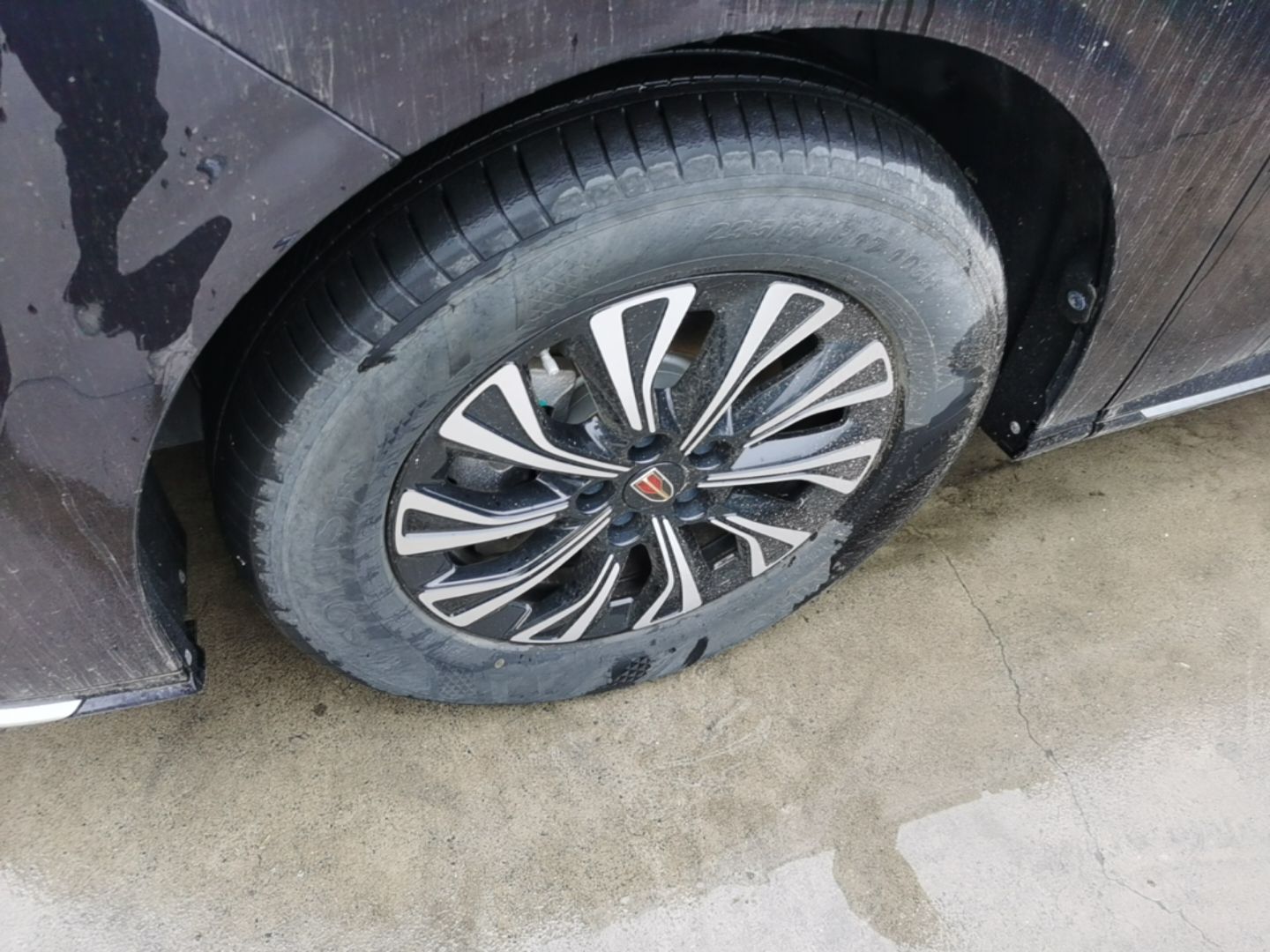Hongqi HQ9 PHEV 2024 2.0T Four-Wheel Drive Business Edition — снимка 10