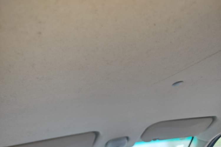 Used CHANGAN KAICHENG Shenqi F30  Headliner
