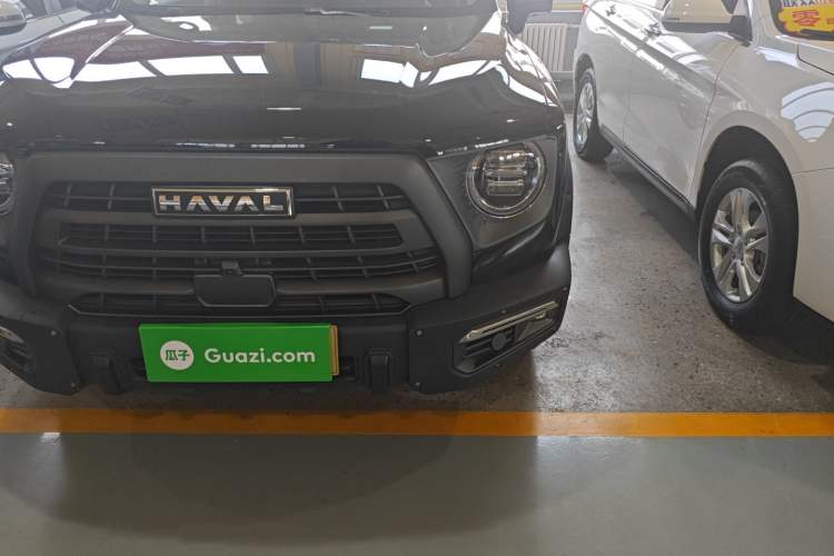 Used Haval DARGO 2024 2.0T DCT Chinese Rural Dog Edition
