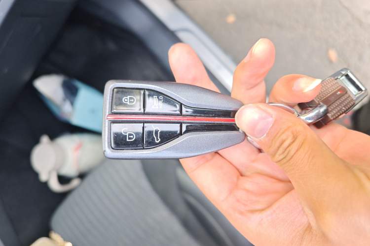 Used Hongqi HS5 2019 2.0T Smart Connect Flagship Edition
