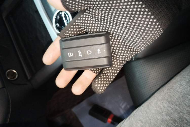 Used Tank 300 2022 2.0T Border Limited Edition