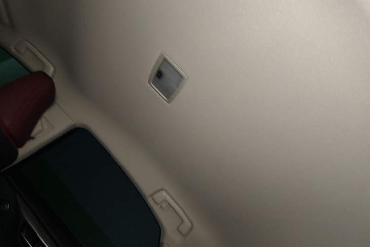 Used Lexus NX 2020 200 Front-Wheel Drive Vmotion Edition China VI Standard Headliner