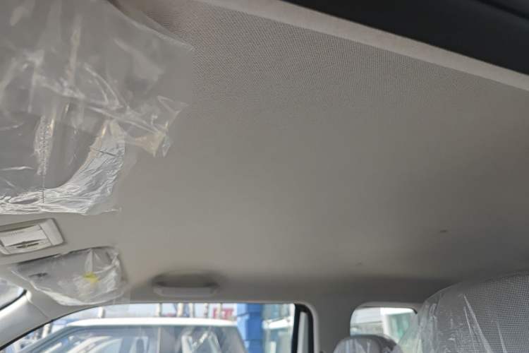 Used Qiyuan Lumin 2025 205 km Xiangqin Version
