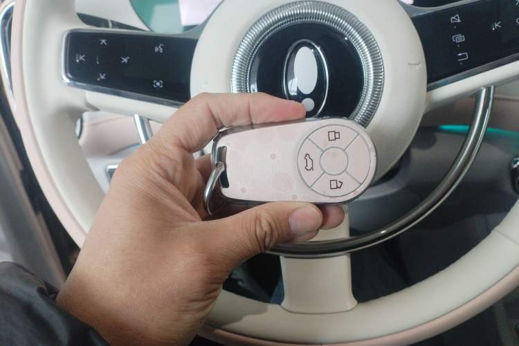 Used ORA Ballet Cat 2022 401 km Nutcracker Edition
