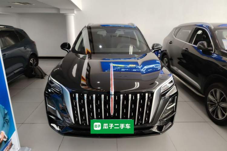 Used Hongqi HS5 2025 2.0T Two-Wheel Drive 600 000-Vehicle Commemorative Edition