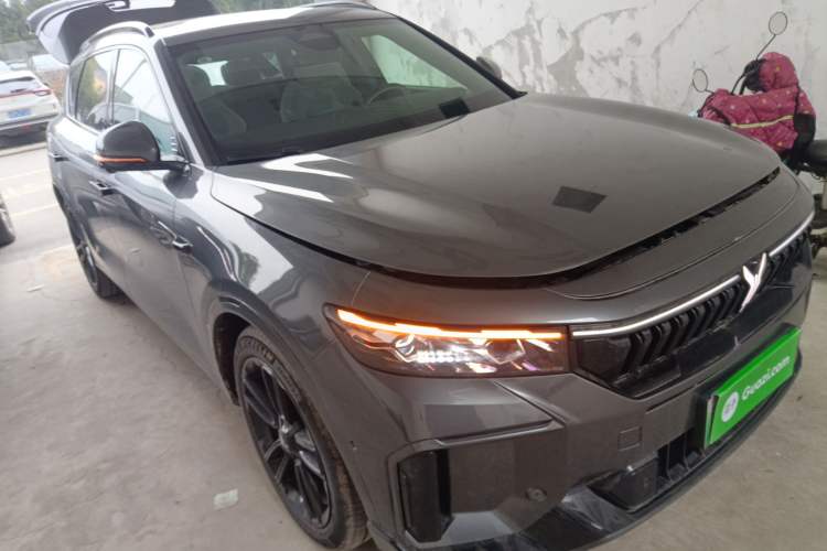 Used VOYAH FREE 2025 318 318 km Rear-Drive Touring Edition