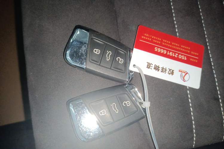 Used Volkswagen Magotan 2020 330TSI DSG Luxury Edition
