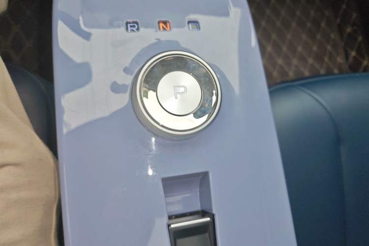 Used Geometry E Firefly 2022 401KM Lightning Tiger 4-Seater Gear Lever