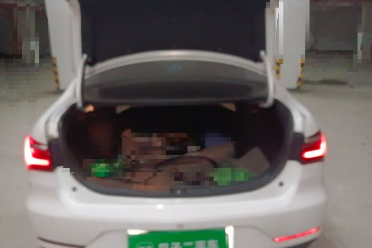 Used BYD Qin New Energy 2021 Lingchang Edition Trunk