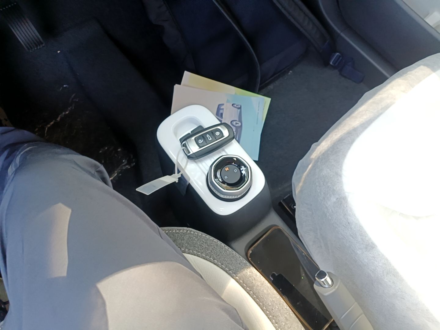 Geely Galaxy Panda 2025 210 km – Yuanqi Bear — снимка 16