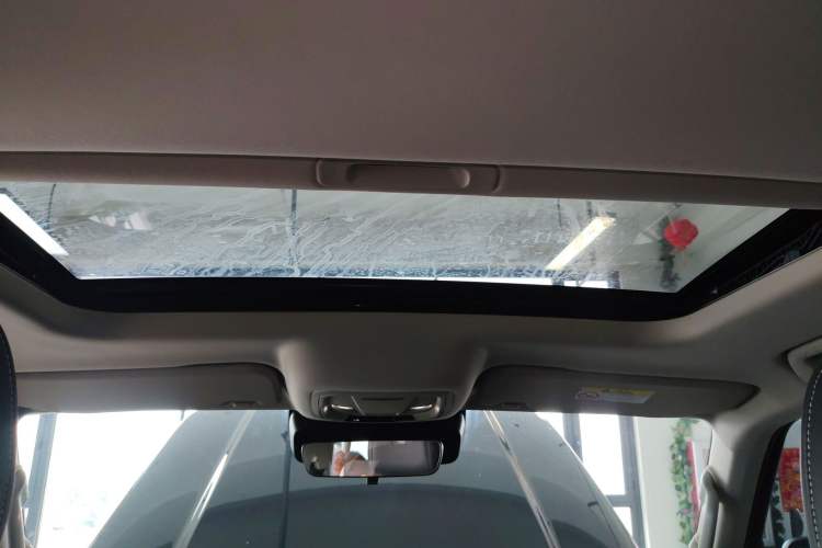 Used Tank 300 2021 Off-Road Edition 2.0T Conqueror
