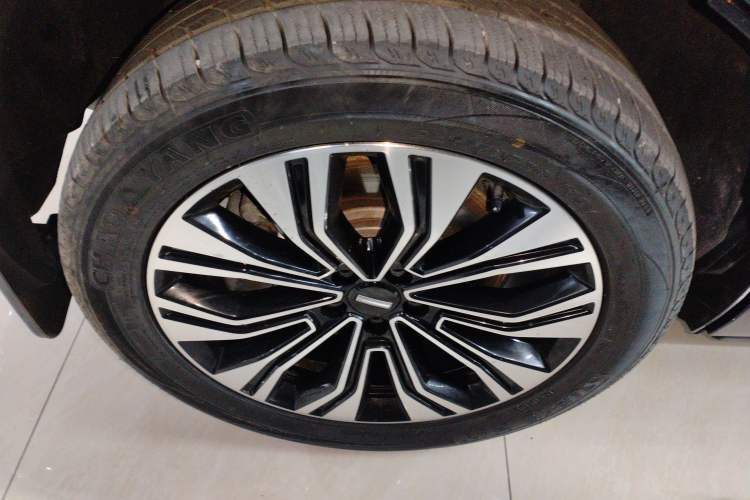 Used Wey Lanshan 2023 Four-Wheel Drive Ultra-Long Range Version
