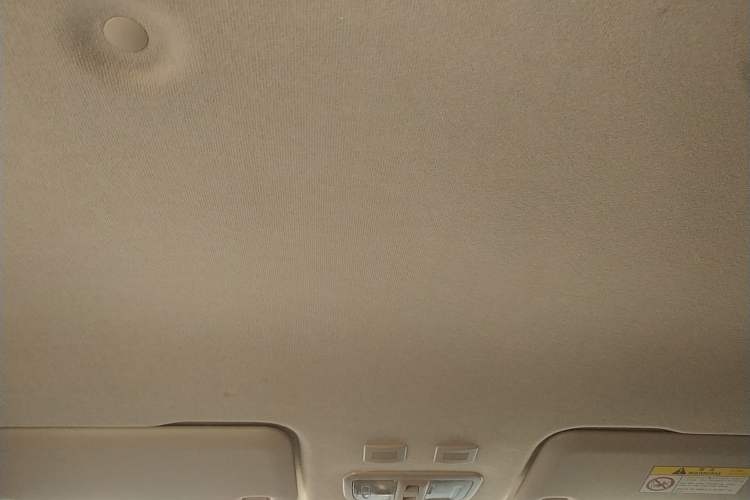 Used ORA White Cat 2020 305 km Luxury Version
