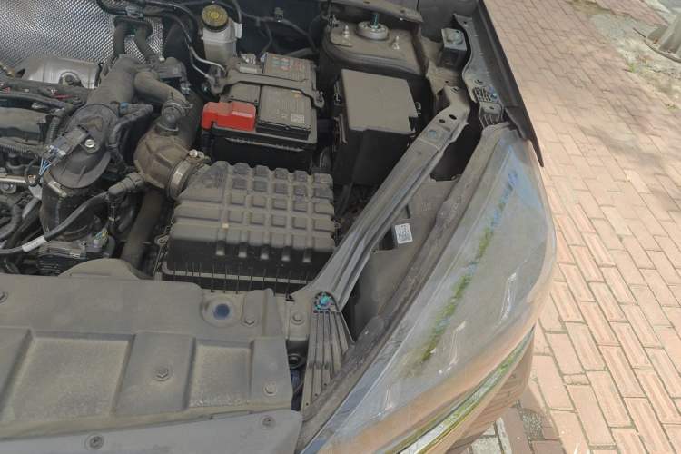 Used Chery Tiggo 7 2024 1.5T CVT Luxury Edition
