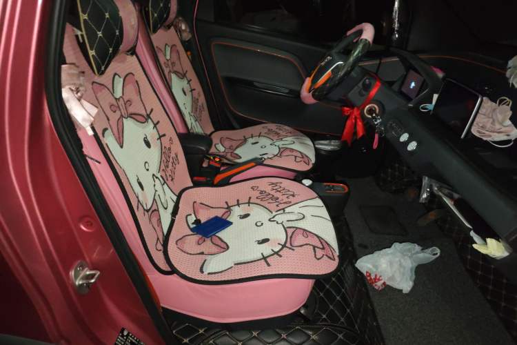 Used Baojun E100 2019 250KM Smart Drive Edition Left Rear Seat