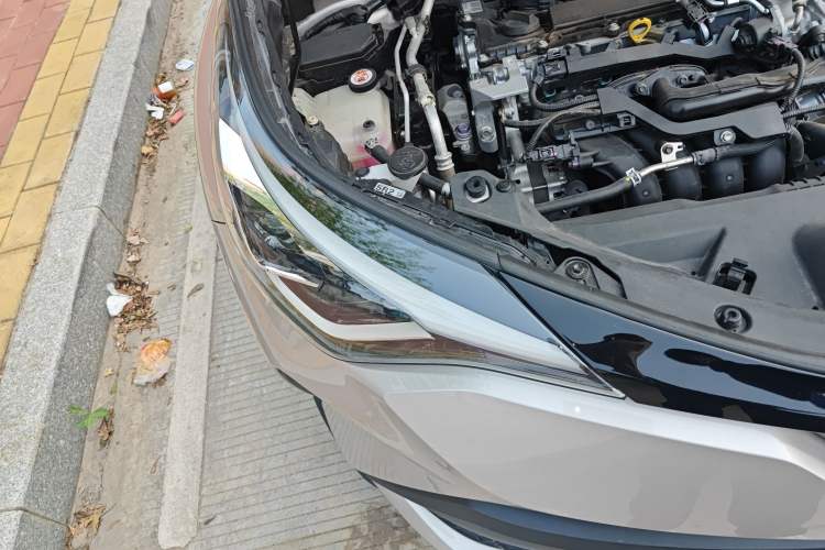 Used Toyota C-HR 2021 2.0L Luxury Edition