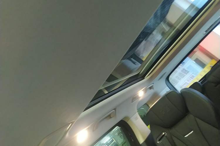 Used Hongqi HQ9 2023 2.0T Smart Connect Flagship Edition
