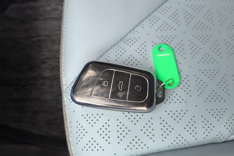 Used Chery Little Ant 2023 251km True Love Edition Lithium Iron Phosphate