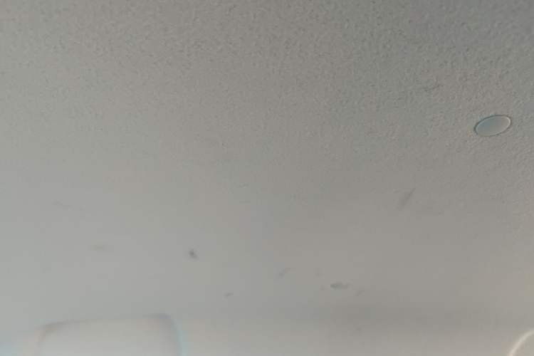 Used CHANGAN OSHAN Benni E-Star 2022 Charming Edition Colorful Model Lithium-Ion Battery Headliner