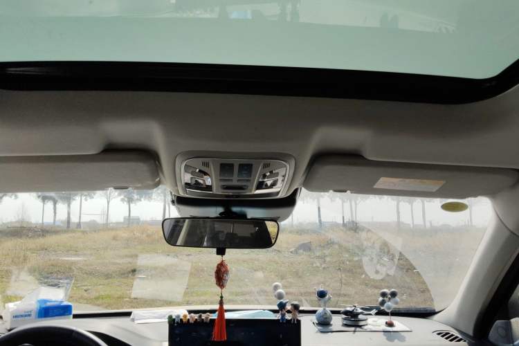 Used Wey VV6 2020 2.0T Two-Wheel Drive Smart Protection+
