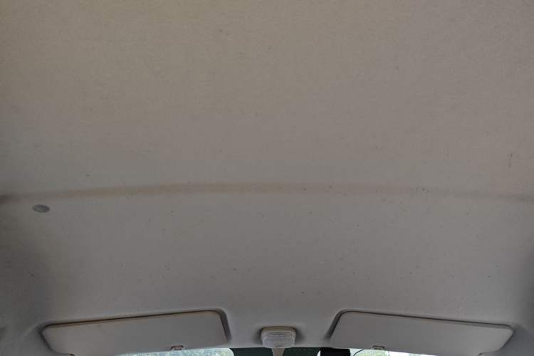 Used SRM Jinhaishi M 2024 1.5L Engineering Lion Passenger Van 5/6/7 Seats Headliner