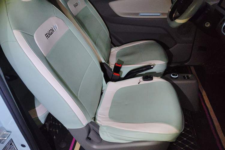 Used Dongfeng Fengon MINIEV 2022 Shishi Style Luxury Version Right Front Seat