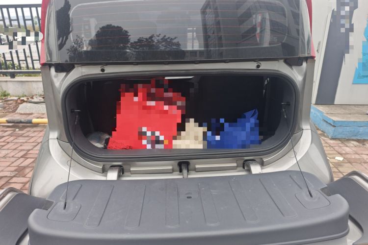 Used Baojun E200 2019 250KM Smart Drive Edition
