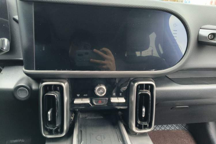 Used Haval DARGO 2024 2.0T DCT Chinese Rural Dog Edition
