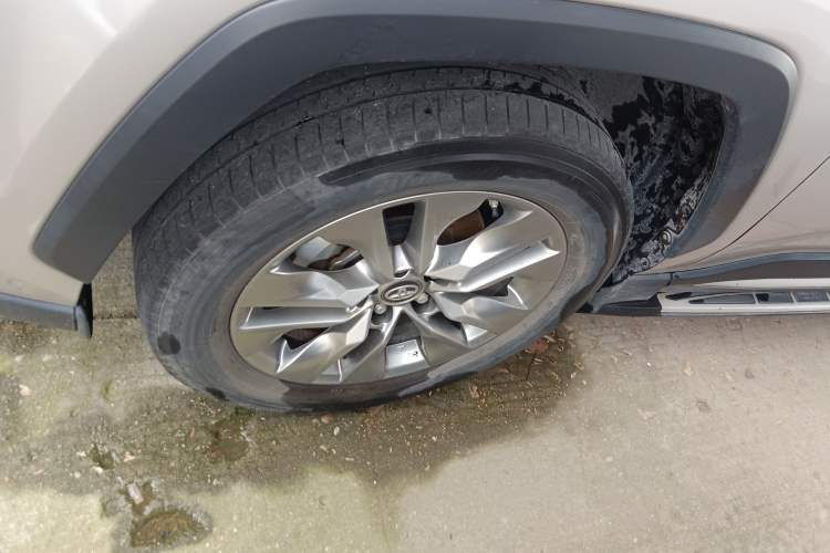 Used Toyota Wildlander 2022 2.0L CVT Two-Wheel Drive Luxury PLUS Edition