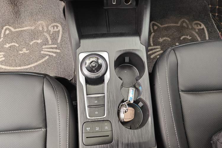 Used Ford Focus 2020 Sedan EcoBoost 180 Automatic Trend Edition Gear Lever