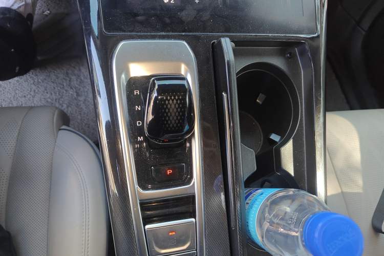 Used Wey Mocha 2021 2.0T Two-Wheel Drive Special Edition