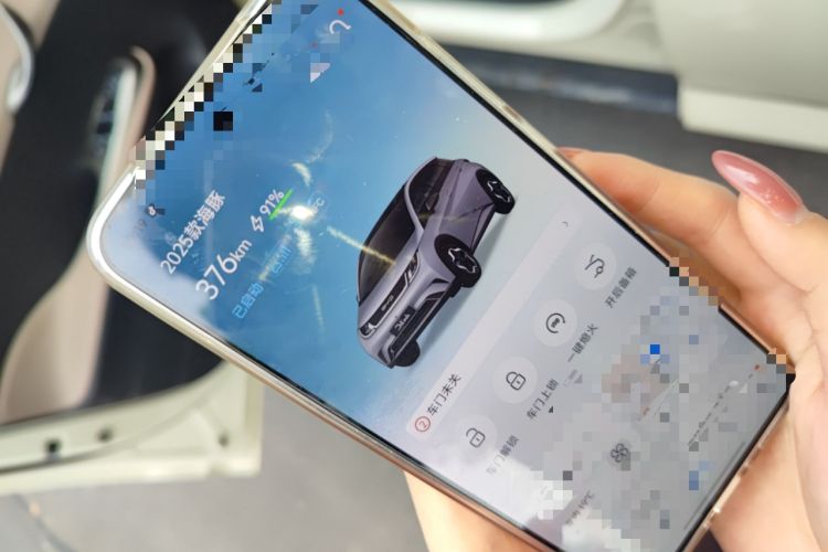 Used BYD Dolphin 2025 420km Free Edition Vehicle Key