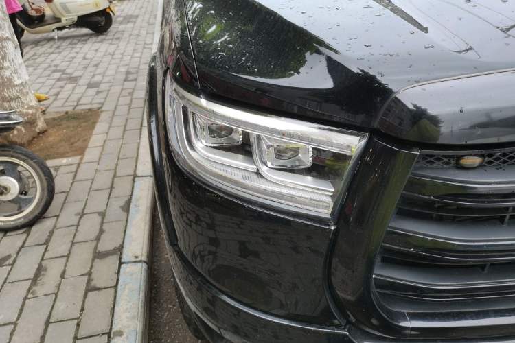 Used Great Wall Poer 2019 2.0T Automatic Gasoline 4x4 Premium Edition GW4C20B
