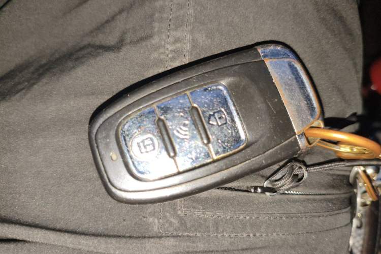 Used ORA Black Cat 2019 351 km Fun Edition