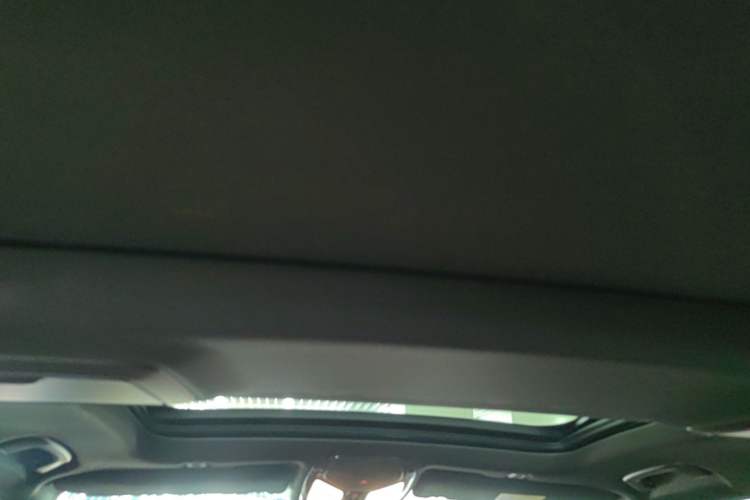 Used BMW 5 Series 2020 530Li Leading Model M Sport Package Headliner