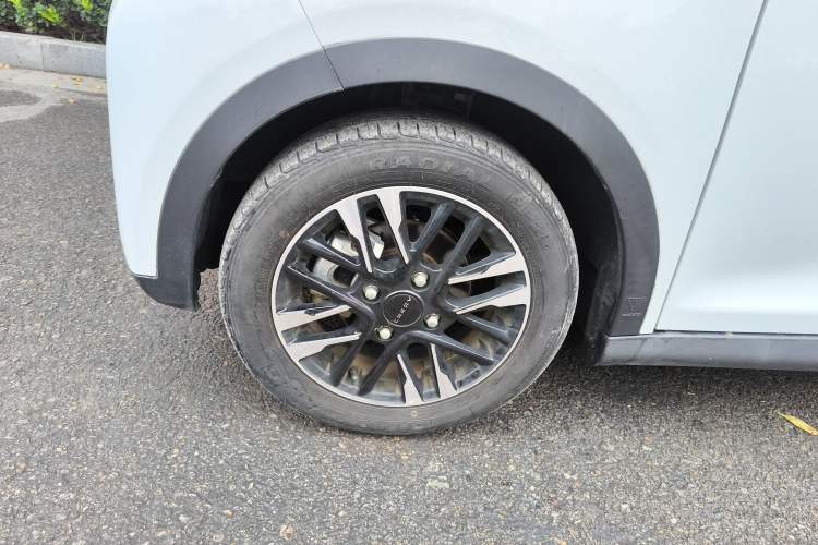 Used Chery Little Ant 2023 251km True Love Edition Lithium Iron Phosphate