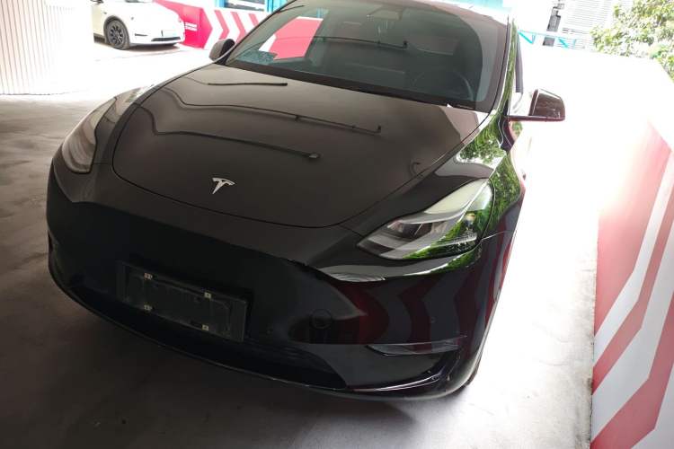 Used Tesla Model Y 2021 Standard Range Rear-Wheel Drive Version