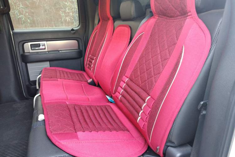 Used Ford F-150 Raptor 
