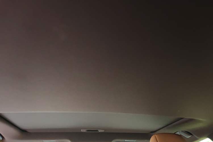 Used Lexus ES 2020 300h Premier Edition Headliner