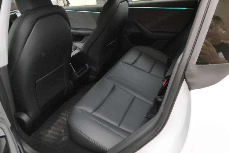 Used Tesla Model 3 2023 Rear-Wheel-Drive Version Left Rear Seat
